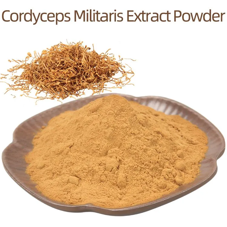 Cordyceps Mushroom Extract Powder