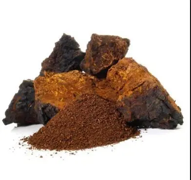 Chaga Extract Powder