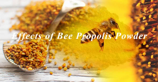 Effects of Bee Propolis Powder