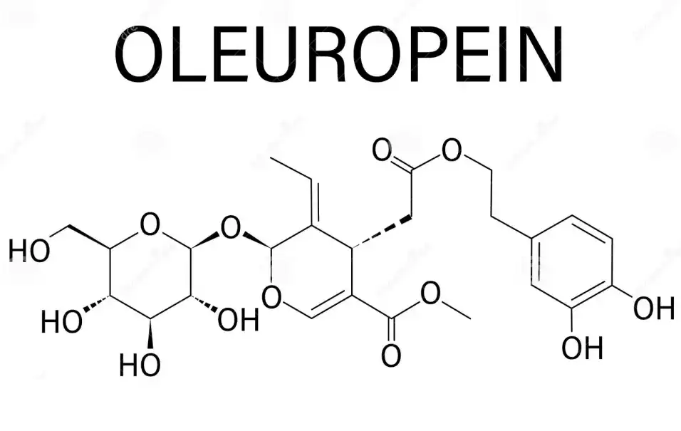 Structure of Oleuropein