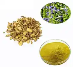 Plant Source of Baicalin Powder