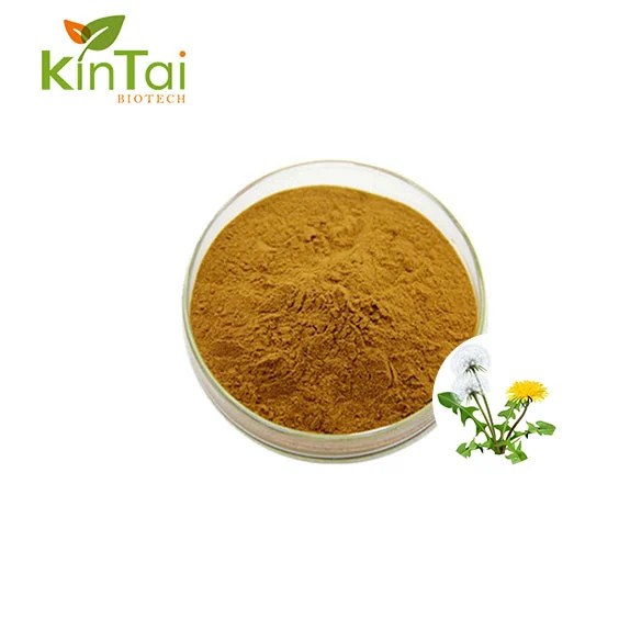 Dandelion Extract Powder