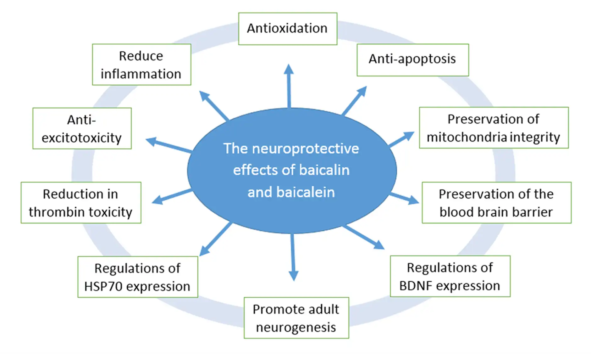 Sources of Baicalin Sources of Baicalin