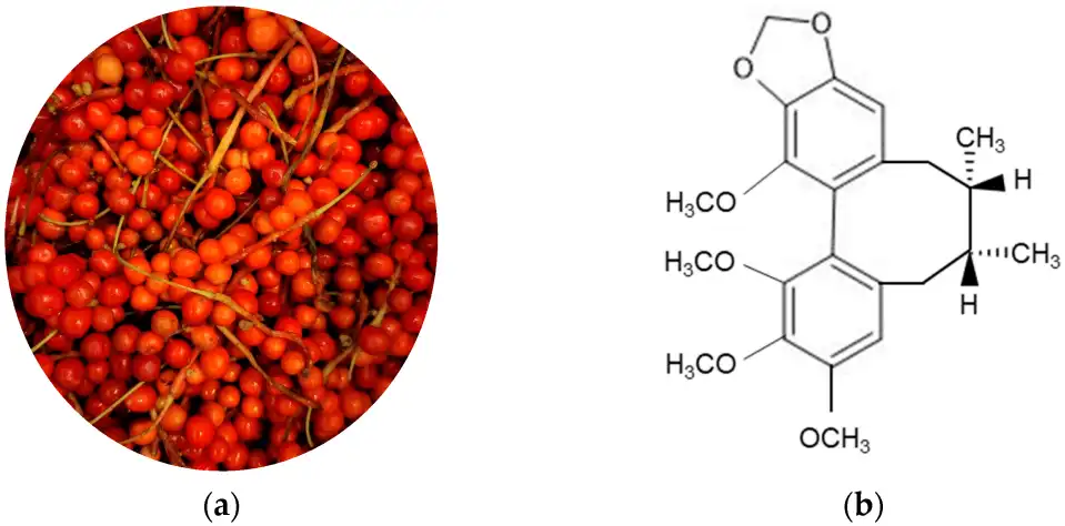 Schisandrin B Schisandrin B