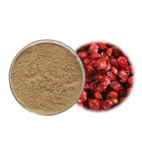 Schisandrin Powder Schisandrin Powder