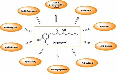 Benefits of Gingerol Powder