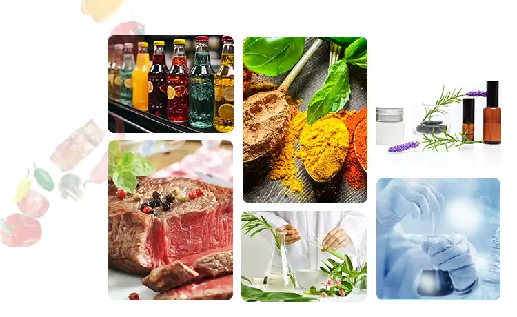 Applications of Gingerol Powder Applications of Gingerol Powder