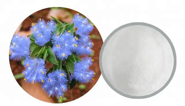 Cyanotis Arachnoides Extract