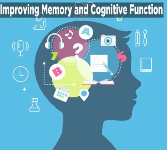 baicalin powder can improve cognitive function and memory