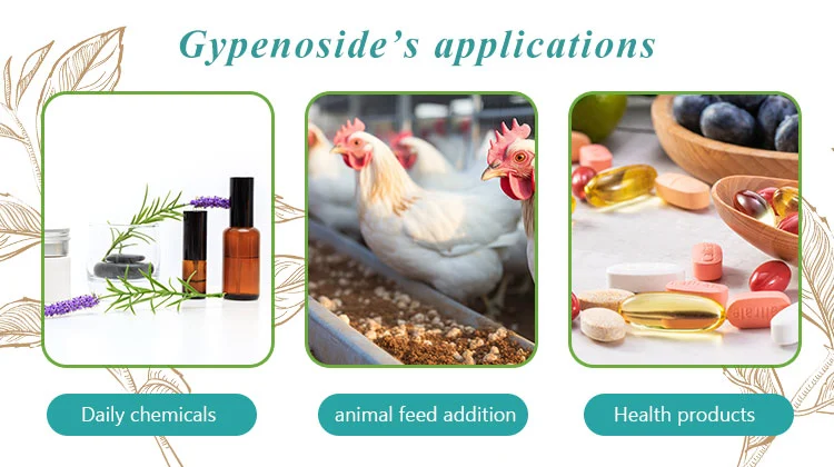 Applications of Gynostemma Extract Powder Applications of Gynostemma Extract Powder