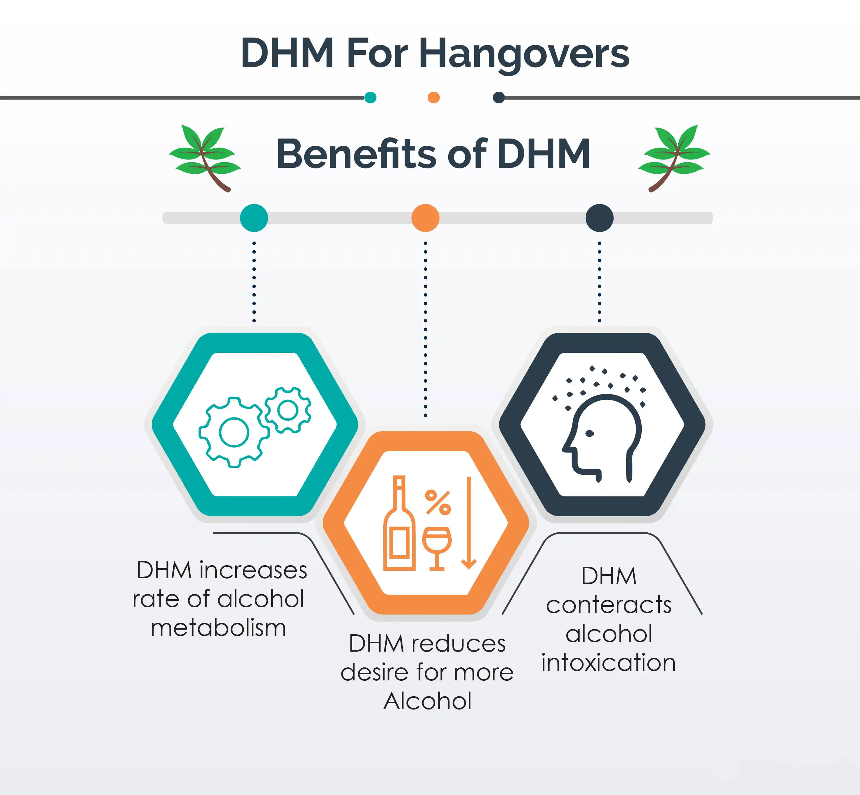 Dihydromyricetin can reduce hangovers Dihydromyricetin can reduce hangovers