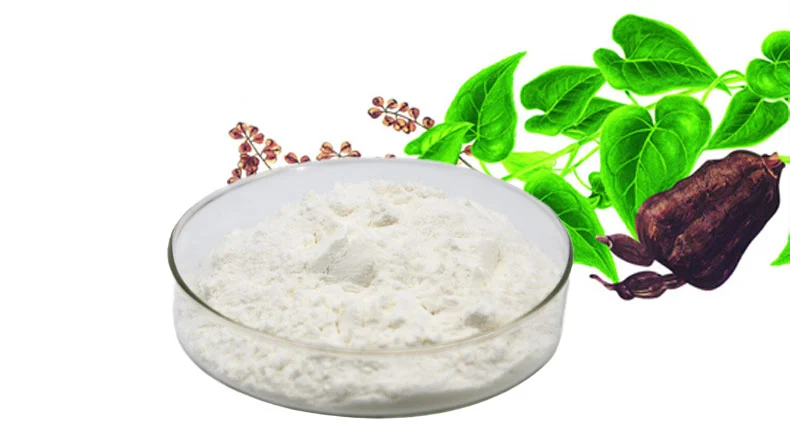Stilbene Glycosides Powder Stilbene Glycosides Powder