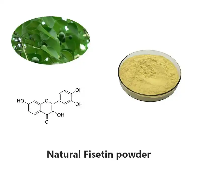 Fisetin Powder