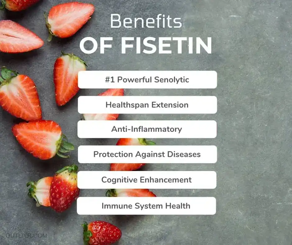 benefits of Fisetin Powder