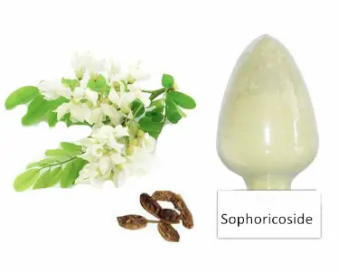 Sophoricoside Powder