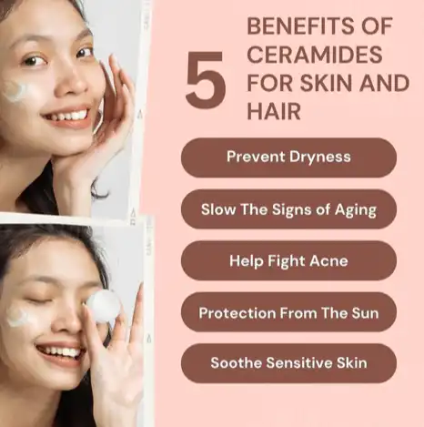 Functions of Pure Ceramide Functions of Pure Ceramide