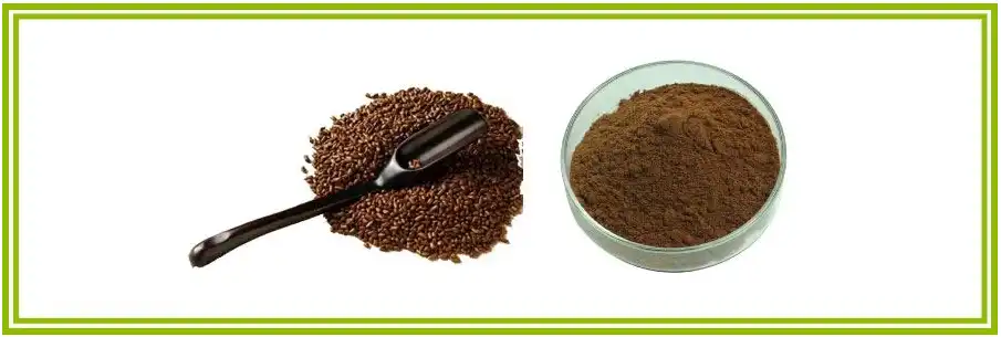 Cassia Seed Extract Powder