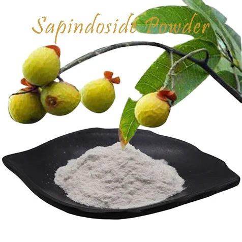 Sapindoside powder Sapindoside powder