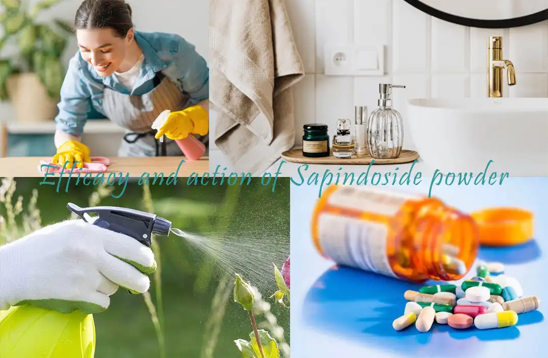 Efficacy and action of Sapindoside powder Efficacy and action of Sapindoside powder