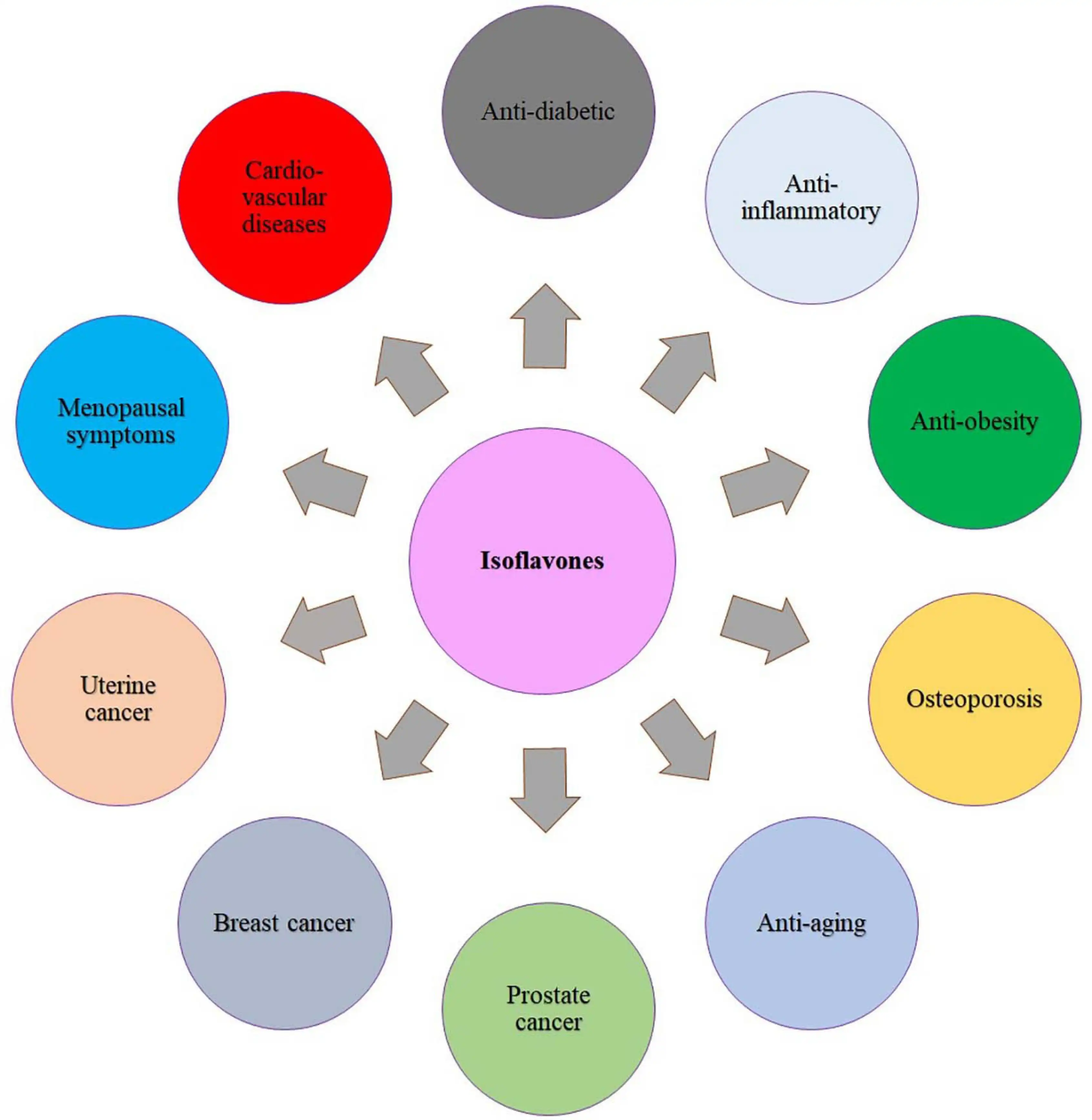 Physiological Functions and Effects