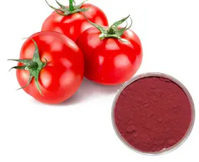 Tomato Extract Lycopene