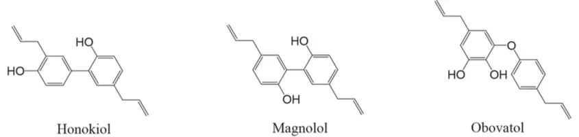 Active compounds of Magnolia Active compounds of Magnolia