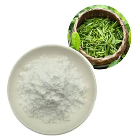 L Theanine Powder