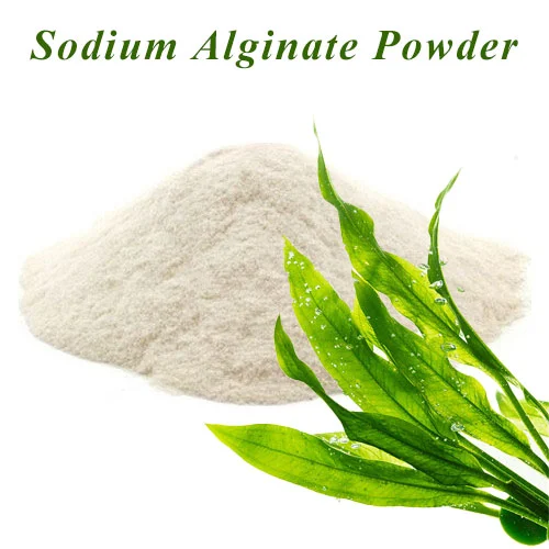 Sodium Alginate Powder