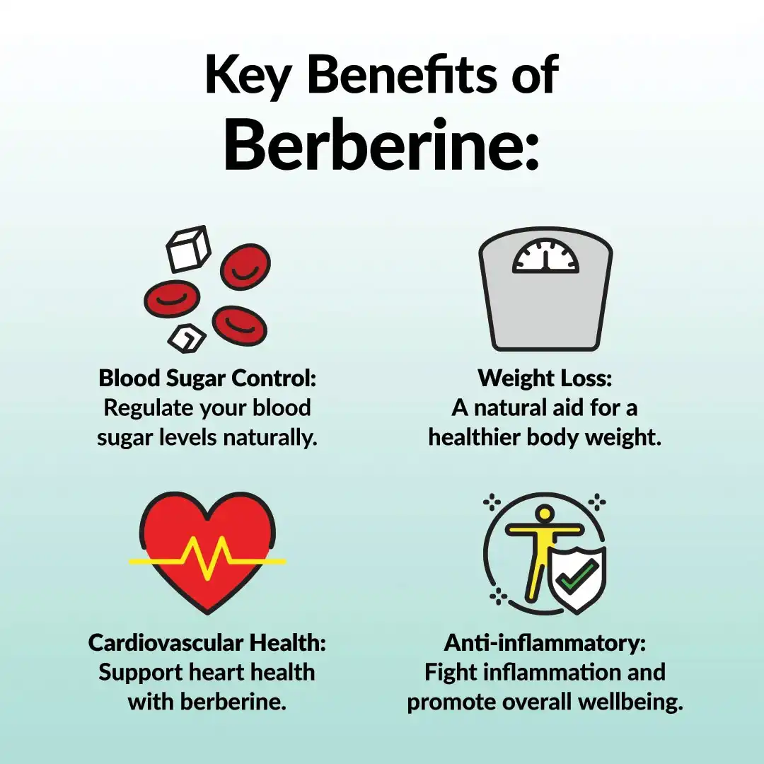 Health benefits of Berberine Health benefits of Berberine