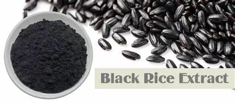 Black Rice Extract Powder