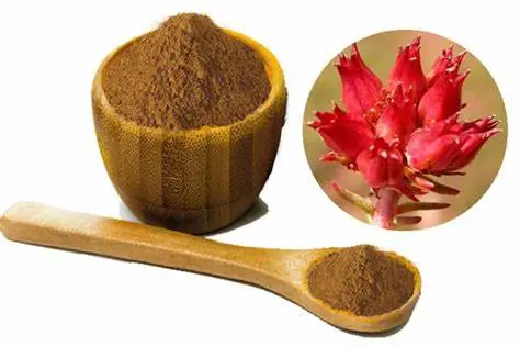 Rhodiola Rosea Extract Rosavin Rhodiola Rosea Extract Rosavin