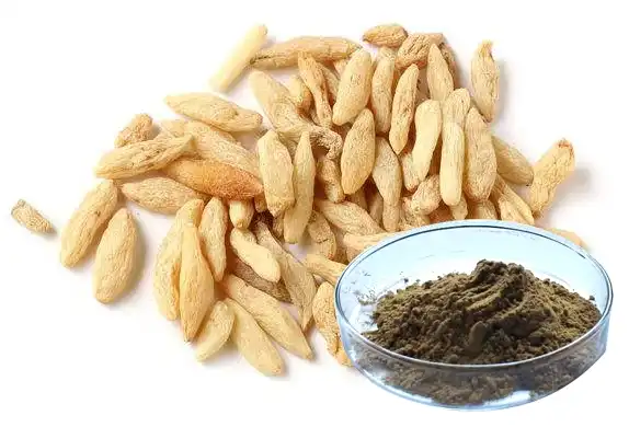 Ophiopogon japonicus root extract