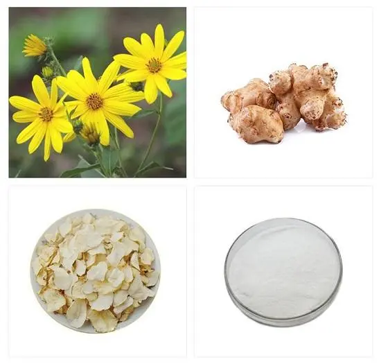 Chicory Root Powder Inulin Chicory Root Powder Inulin