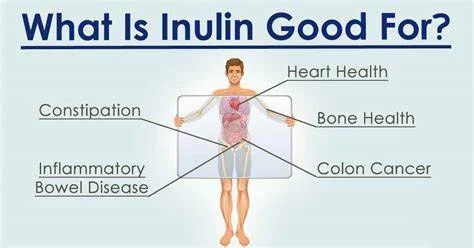 Benefits of Chicory Root Powder Inulin Benefits of Chicory Root Powder Inulin