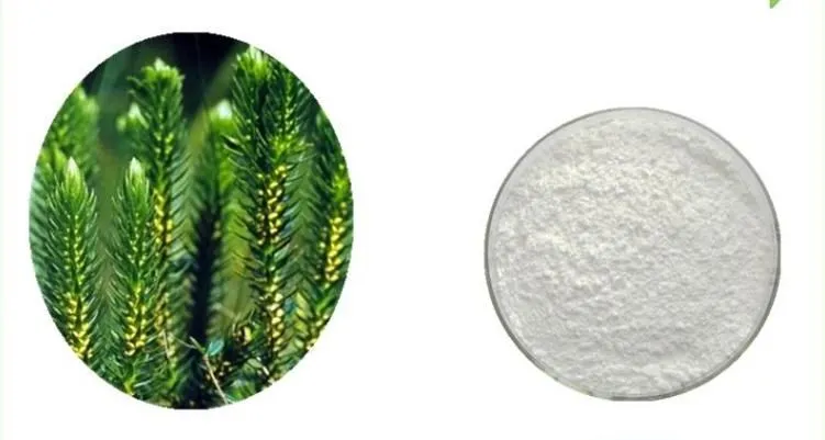 Huperzine A Powder