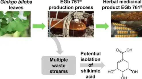 Shikimic Acid Extracted and Processed Shikimic Acid Extracted and Processed