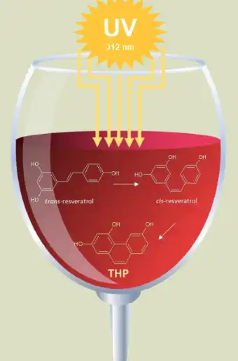 Resveratrol protects against UV damage Resveratrol protects against UV damage