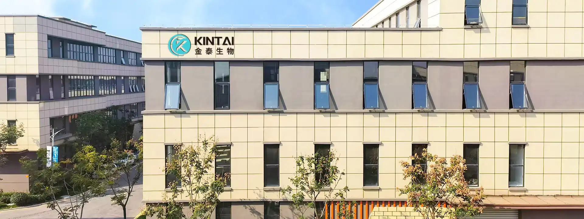 product-1920-720 product-1920-720