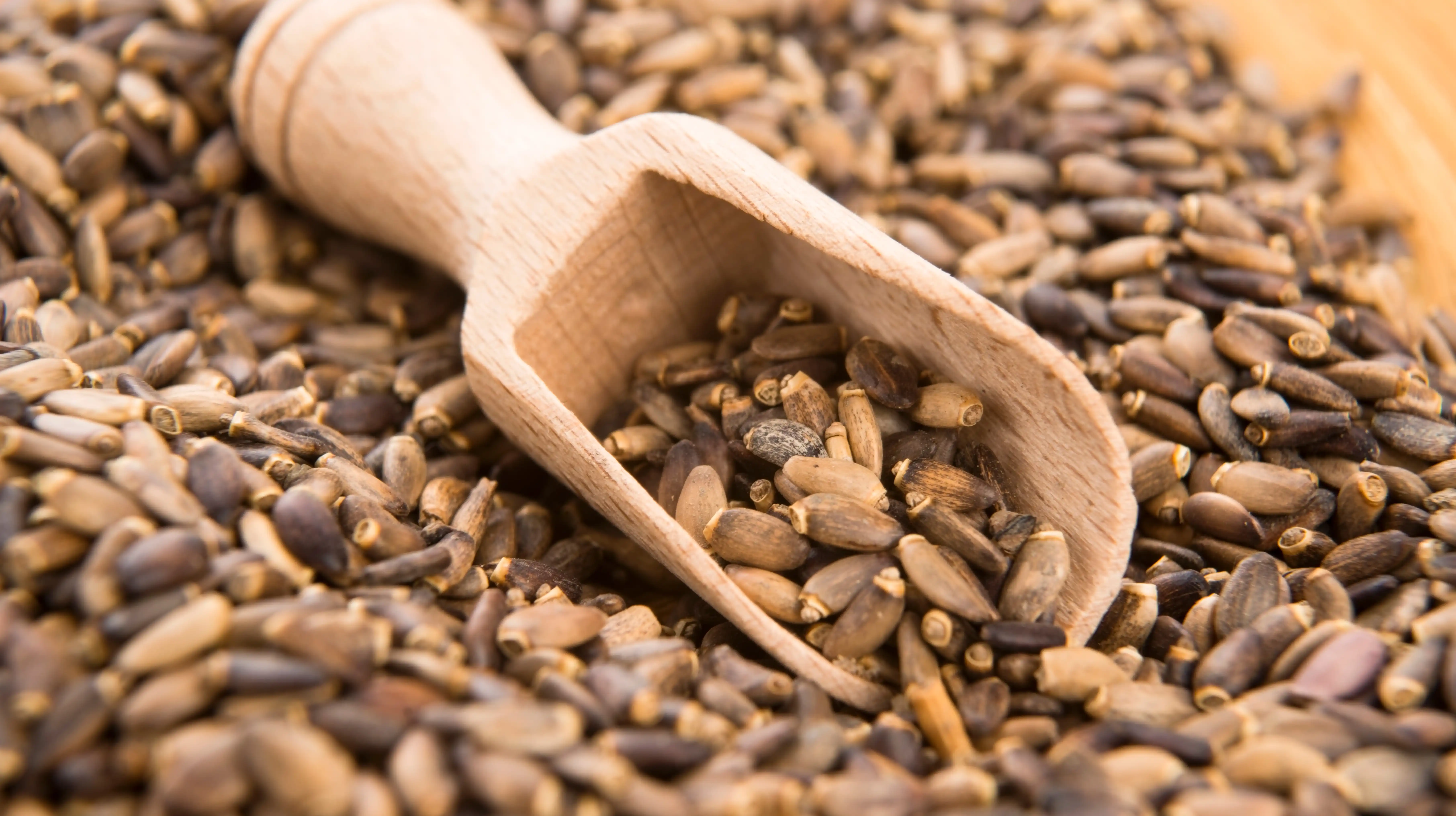 Organic Milk Thistle Seed Powder Organic Milk Thistle Seed Powder