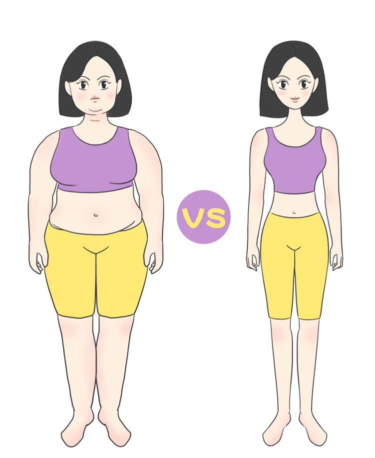 Stevioside sweetener can help control weight Stevioside sweetener can help control weight