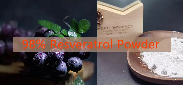 KINTAI's Resveratrol Extract Powder