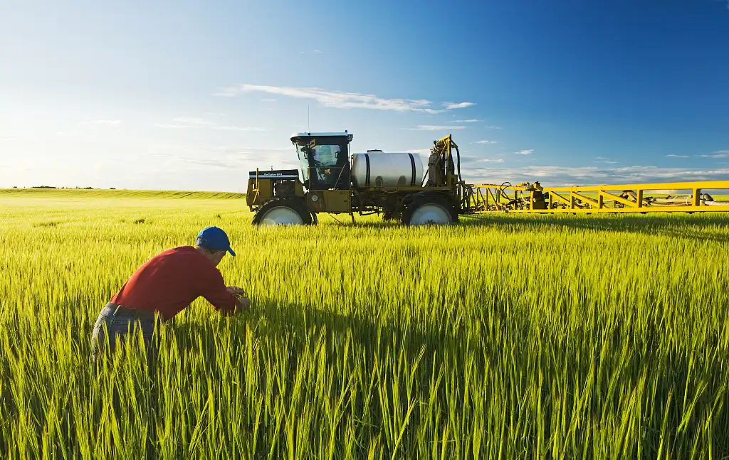 Osthole Powder can be used as an insecticide. Osthole Powder can be used as an insecticide.