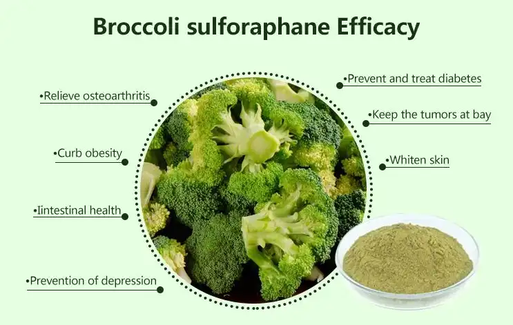 Benefits of Sulforaphane Benefits of Sulforaphane