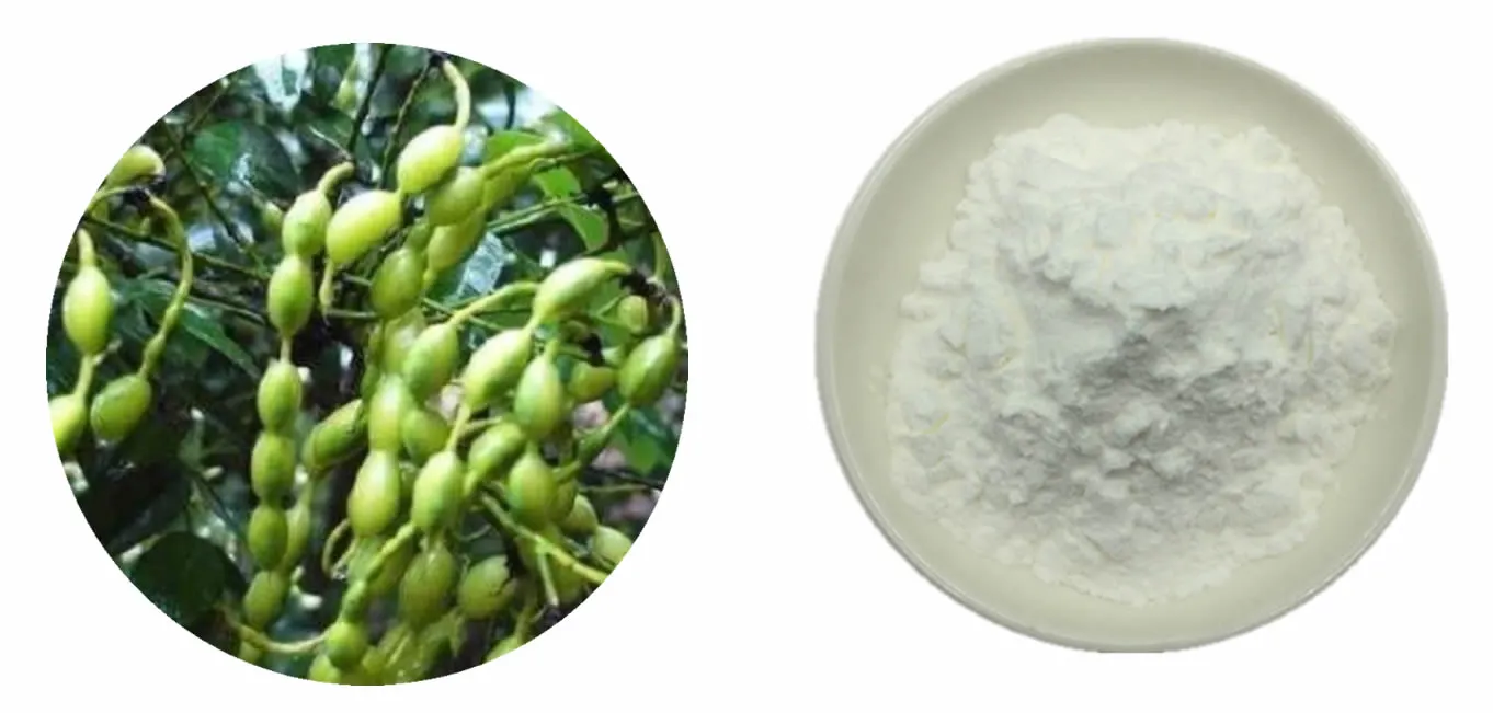 Sophorine Powder  Sophorine Powder