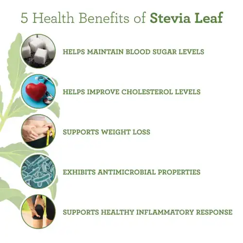 Benefits of Stevia Extract Powder