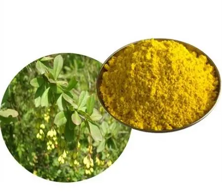 Berberine Hydrochloride Powder