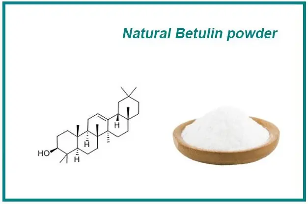Betulin powder