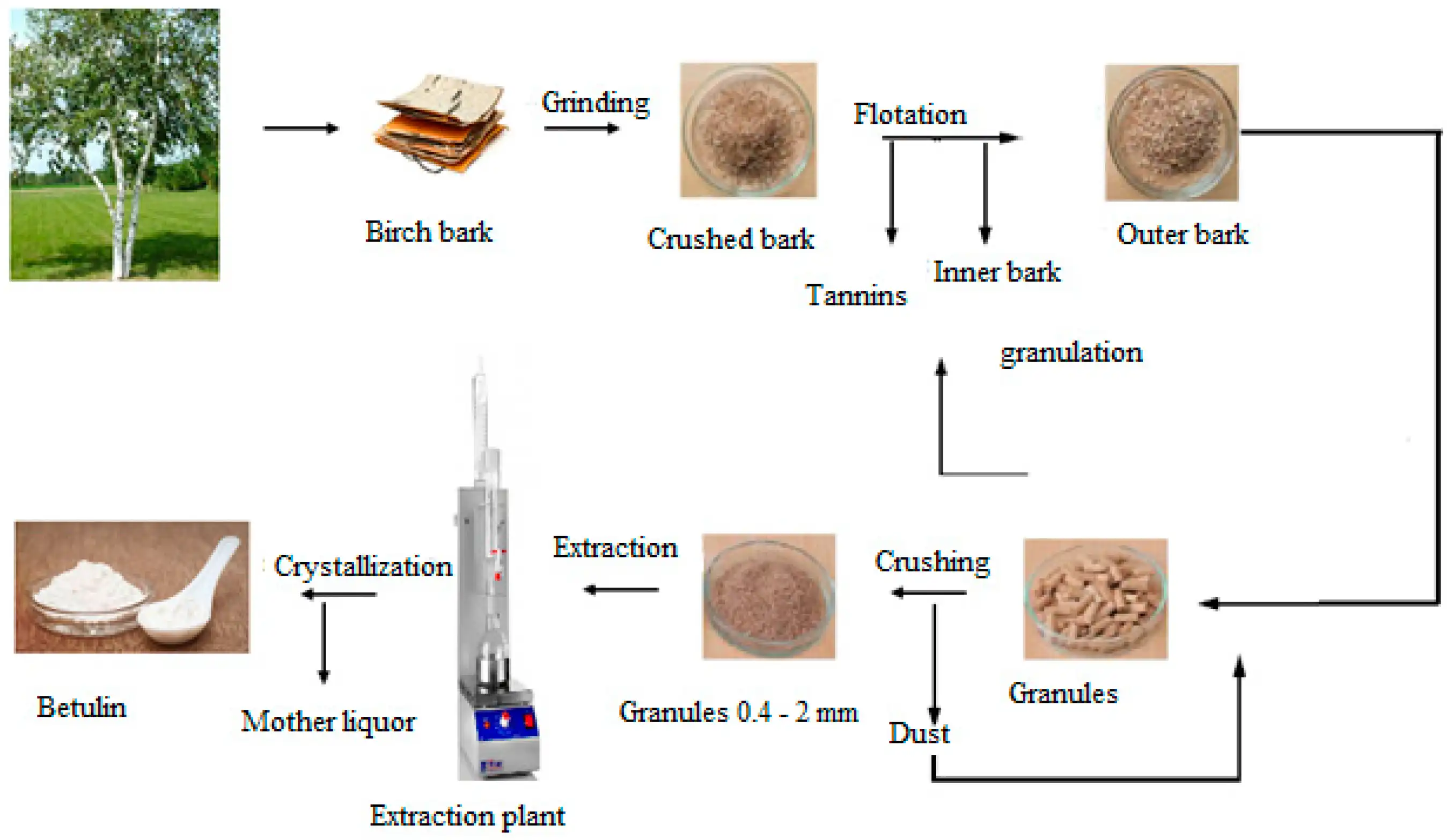 Betulin Powder Betulin Powder
