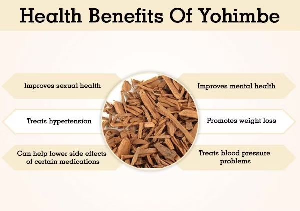 The effects of Yohimbine Extract Powder The effects of Yohimbine Extract Powder