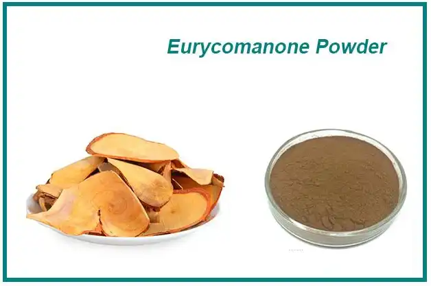 Eurycomanone Powder